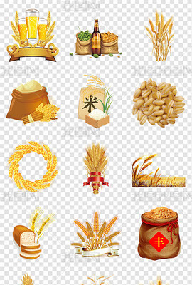 從豐收到餐桌 PNG糧食與乳制品的協同發展之路