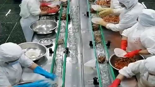 罐頭水果 健康與否，解碼食品廠的“魔法”加工過程